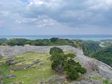 今帰仁城跡に投稿された画像（2024/1/28）