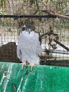 しろとり動物園に投稿された画像（2024/1/28）