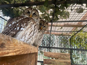 しろとり動物園に投稿された画像（2024/1/28）