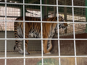 しろとり動物園に投稿された画像（2024/1/28）