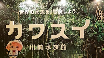 カワスイ 川崎⽔族館に投稿された画像（2024/1/28）