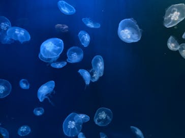 登別マリンパークニクスに投稿された画像（2024/1/28）