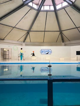 登別マリンパークニクスに投稿された画像（2024/1/28）