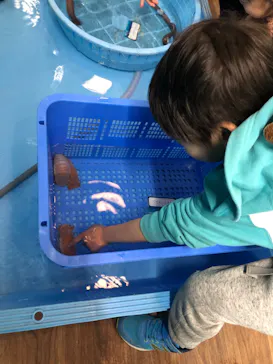 横浜・八景島シーパラダイスに投稿された画像（2024/1/28）