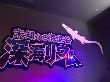 横浜・八景島シーパラダイスに投稿された画像（2024/1/28）