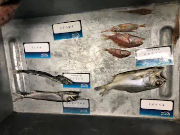 横浜・八景島シーパラダイスに投稿された画像（2024/1/28）