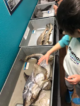 横浜・八景島シーパラダイスに投稿された画像（2024/1/28）