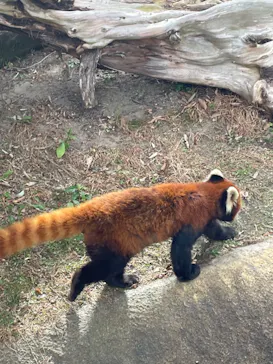 ひらかたパークに投稿された画像（2024/1/28）