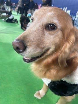 わんにゃんドームに投稿された画像（2024/1/28）