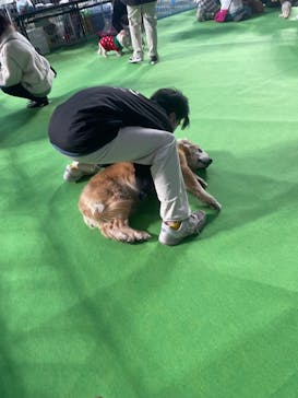 わんにゃんドームに投稿された画像（2024/1/28）