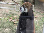 天王寺動物園に投稿された画像（2024/1/28）