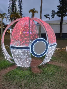 美らヤシパークオキナワ・東南植物楽園に投稿された画像（2024/1/28）