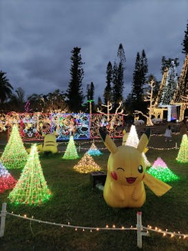美らヤシパークオキナワ・東南植物楽園に投稿された画像（2024/1/28）