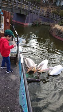 伊豆シャボテン動物公園に投稿された画像（2024/1/28）