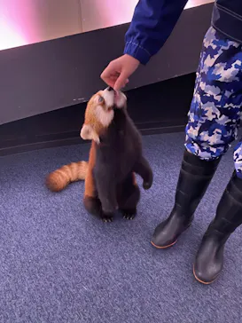 横浜・八景島シーパラダイスに投稿された画像（2024/1/28）