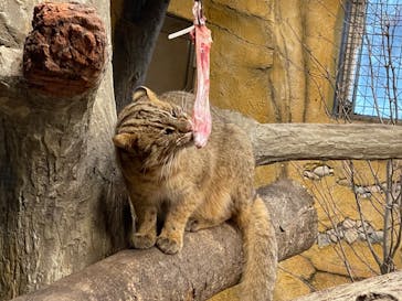 那須どうぶつ王国に投稿された画像（2024/1/28）