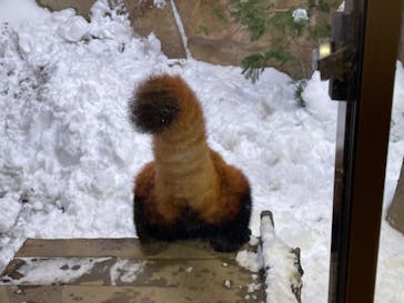 那須どうぶつ王国に投稿された画像（2024/1/28）