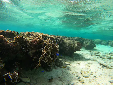 武藤潜水に投稿された画像（2024/1/28）