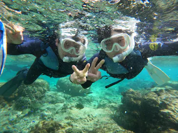 武藤潜水に投稿された画像（2024/1/28）