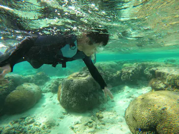 武藤潜水に投稿された画像（2024/1/28）