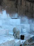 天王寺動物園に投稿された画像（2024/1/28）