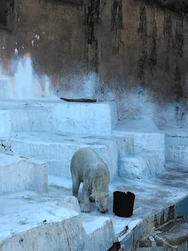 天王寺動物園に投稿された画像（2024/1/28）
