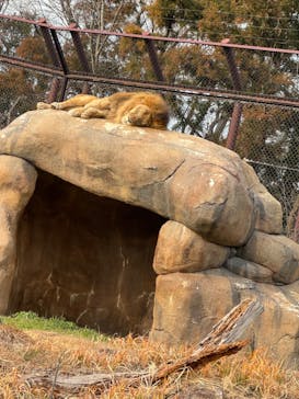 千葉市動物公園に投稿された画像（2024/1/28）