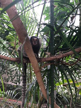 神戸どうぶつ王国に投稿された画像（2024/1/28）