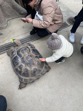 神戸どうぶつ王国に投稿された画像（2024/1/28）