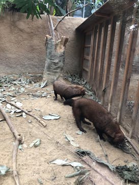 神戸どうぶつ王国に投稿された画像（2024/1/28）