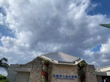 沖縄美ら海水族館に投稿された画像（2024/1/28）