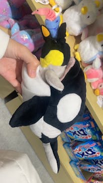 カワスイ 川崎⽔族館に投稿された画像（2024/1/28）