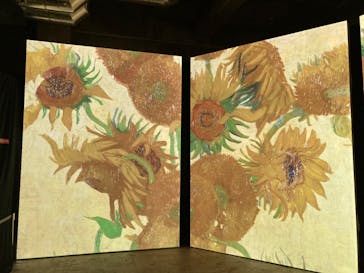 ゴッホ・アライブに投稿された画像（2024/1/28）