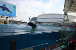 名古屋港水族館に投稿された画像（2024/1/28）
