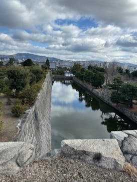 元離宮二条城に投稿された画像（2024/1/28）