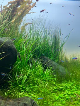 AOAO SAPPOROに投稿された画像（2024/1/28）