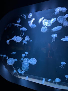 AOAO SAPPOROに投稿された画像（2024/1/28）