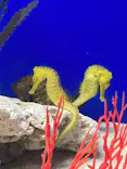 サンシャイン水族館に投稿された画像（2024/1/28）