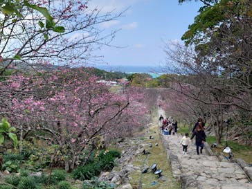 今帰仁城跡に投稿された画像（2024/1/28）