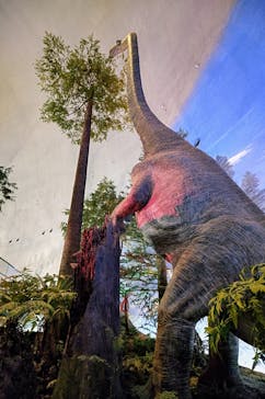 福井県立恐竜博物館に投稿された画像（2024/1/28）