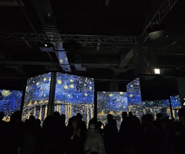 ゴッホ・アライブに投稿された画像（2024/1/28）