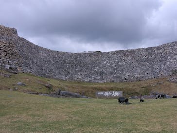 今帰仁城跡に投稿された画像（2024/1/28）