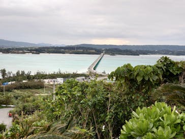 古宇利オーシャンタワーに投稿された画像（2024/1/28）