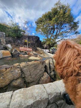 伊豆シャボテン動物公園に投稿された画像（2024/1/28）