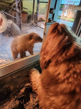 伊豆シャボテン動物公園に投稿された画像（2024/1/28）