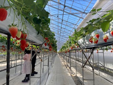 株式会社こまち野に投稿された画像（2024/1/28）