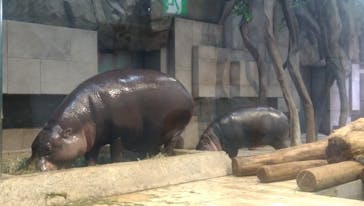 NIFREL（ニフレル）に投稿された画像（2024/1/28）