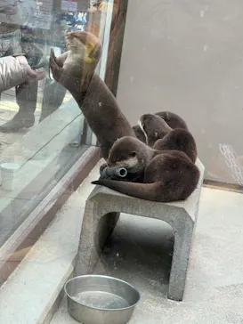 横浜・八景島シーパラダイスに投稿された画像（2024/1/28）