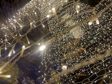 ゴッホ・アライブに投稿された画像（2024/1/28）