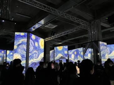 ゴッホ・アライブに投稿された画像（2024/1/28）